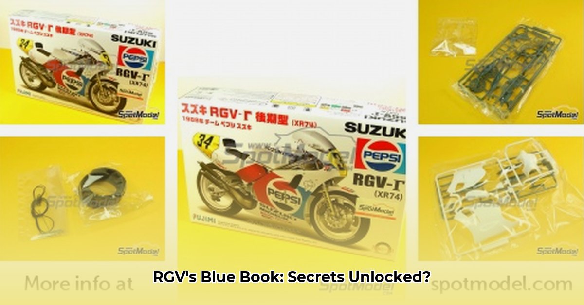 rgv-the-blue-book-pdf-download
